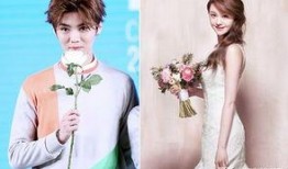 圈内爆料郑爽鹿晗,娱乐圈新恋情引发热议