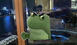 dy网红视频爆料,揭秘幕后真相，带你走进网红世界